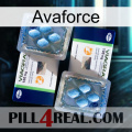 Avaforce viagra5